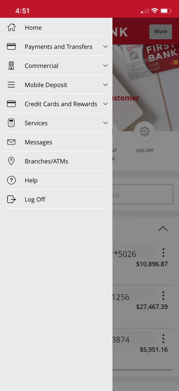 bank account balance screenshot