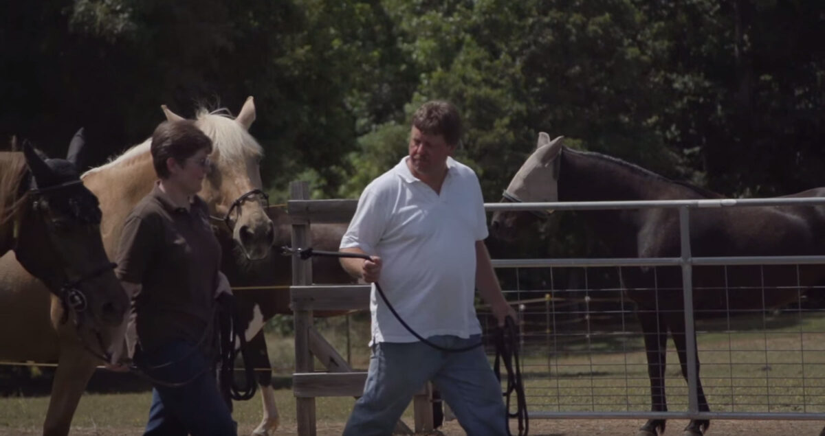 Chris White leading a horse.