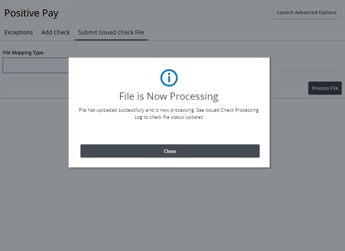 First Bank online banking screen showing the check file processing pop up.