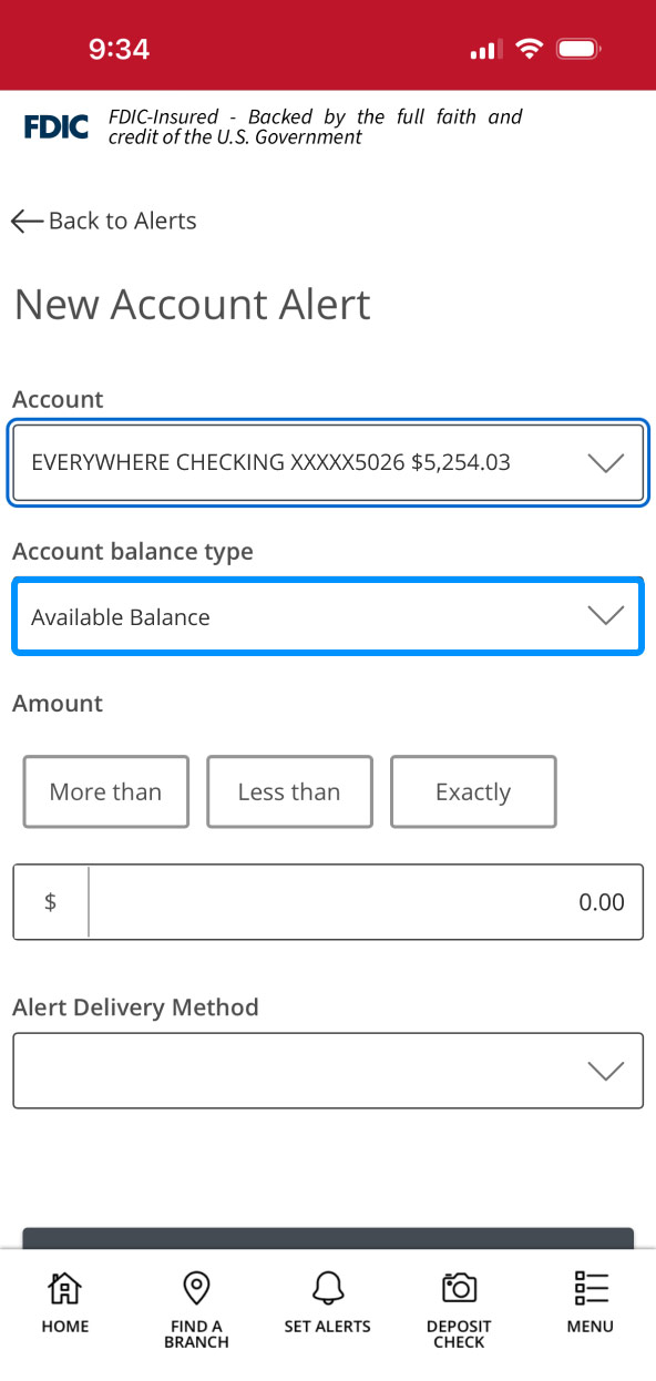First Bank Online Banking screen highlighting the account balance type field.