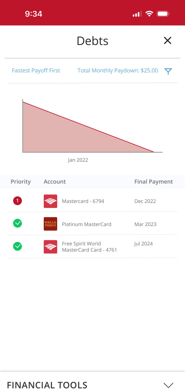 First Bank Online Banking screen showing debt graphs.