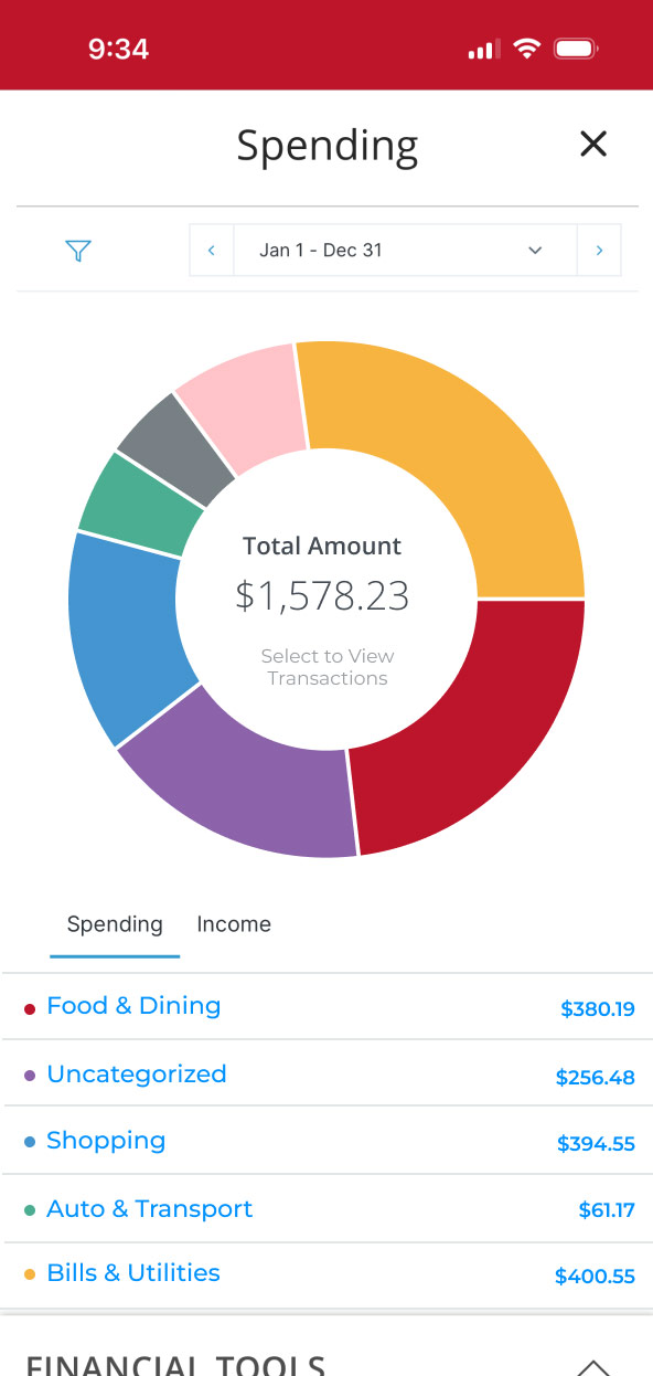 First Bank Online Banking screen showing a chart of different spending categories.