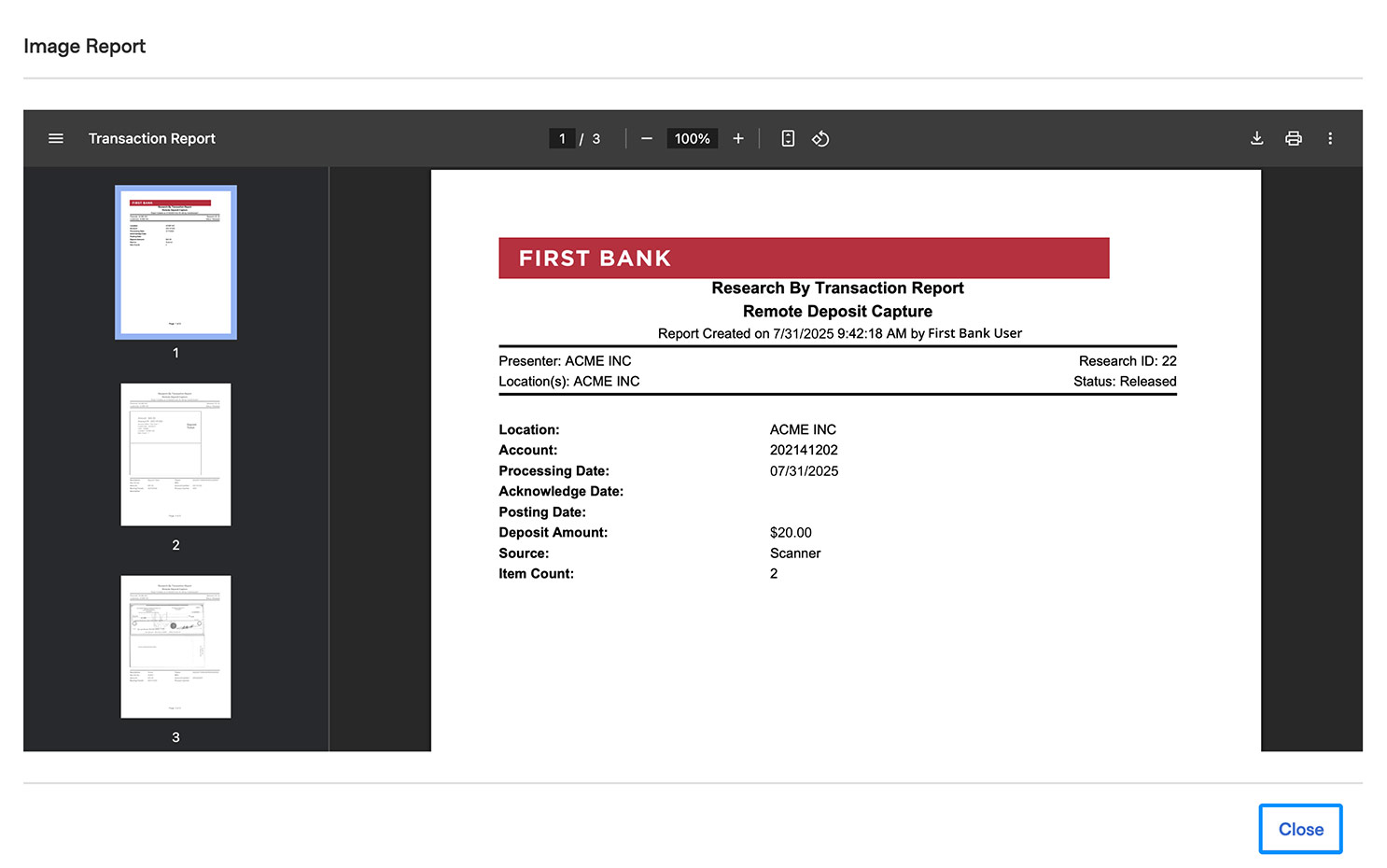 First Bank online banking screen showing the Transaction Report PDF.