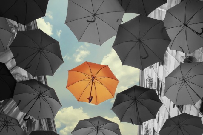 Umbrellas - Life Hacks to Save Money